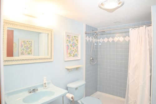 Messerschmidt-Bathrooms-Remodeler-Waukesha-0554